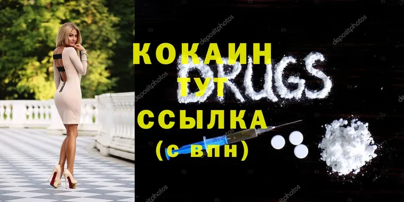 Cocaine Columbia  купить   Жердевка 